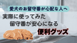 愛犬のお留守番が心配な人へ|実際に使ってみた留守番が安心になる便利グッズ