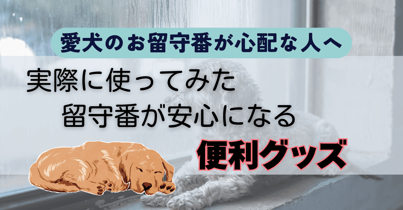 愛犬のお留守番が心配な人へ｜実際に使ってみた留守番が安心になる便利グッズ