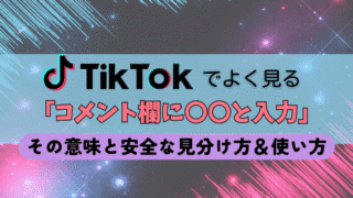 TikTokでよく見る「コメント欄に〇〇と入力」の意味とは？安全な見分け方と使い方を解説